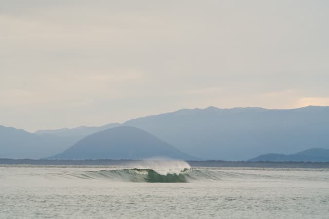Jackson Bay surf cam